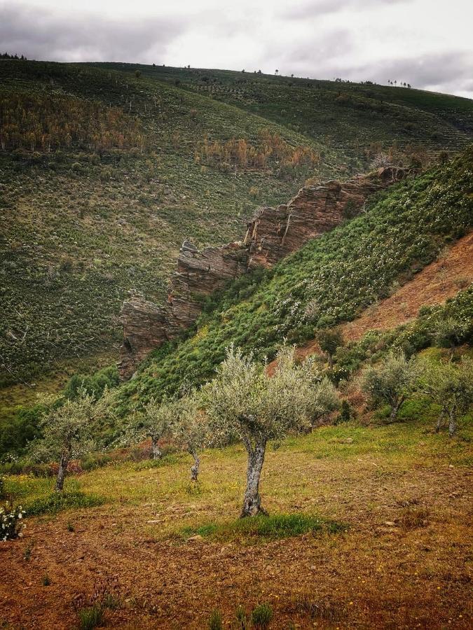 Quinta das Quebradas Casa Das Quintas מראה חיצוני תמונה